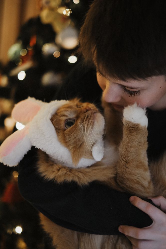 Photograph by Анастасия Прокопенко