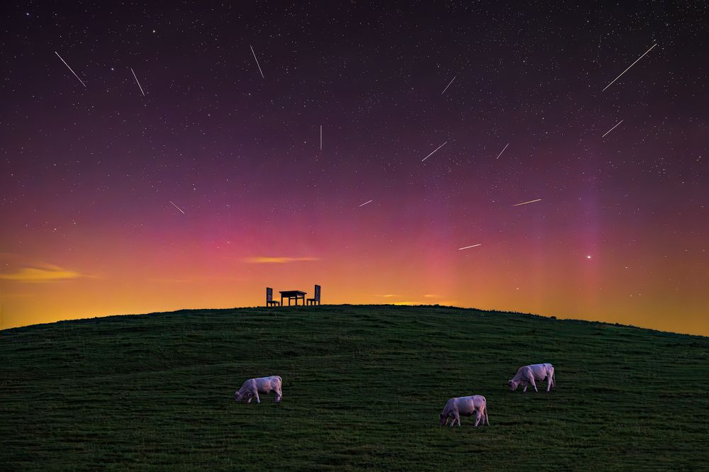 Photograph by Ilona Rosenkrancová