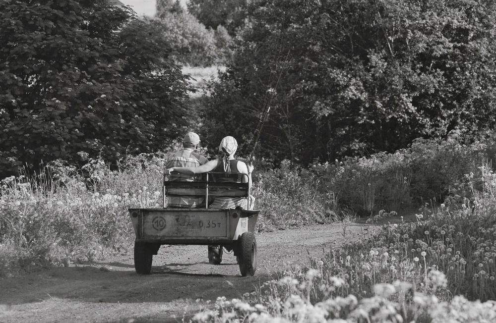 Photograph by Людмила Дубровина