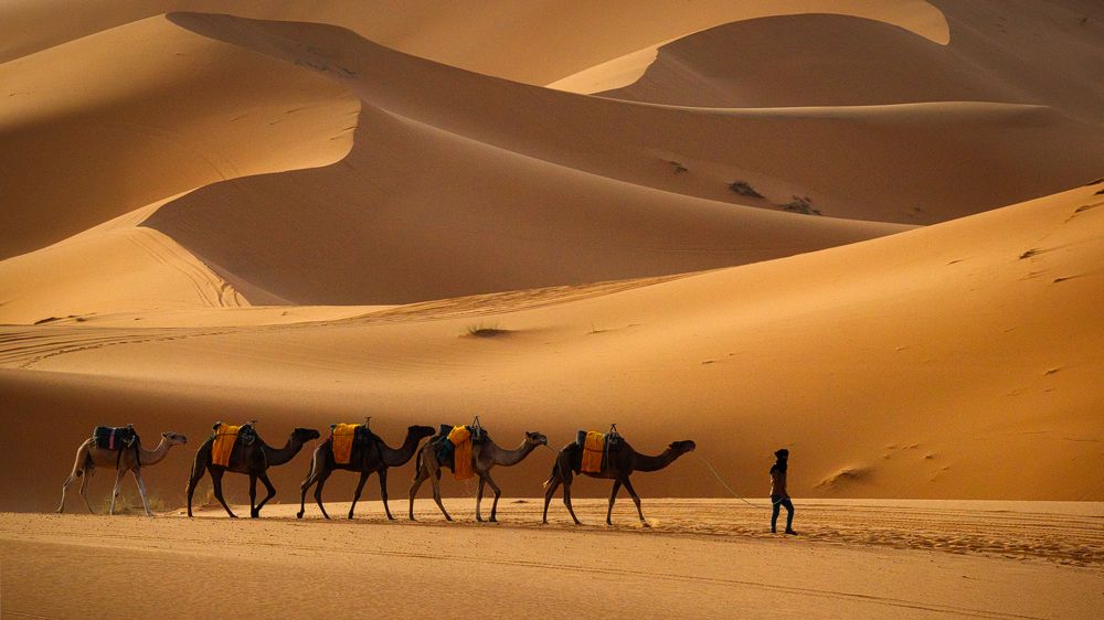 Photograph by Adrian Adi Gli