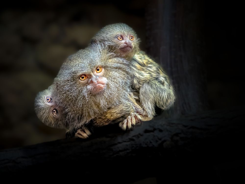 Photograph by Ilona Rosenkrancová