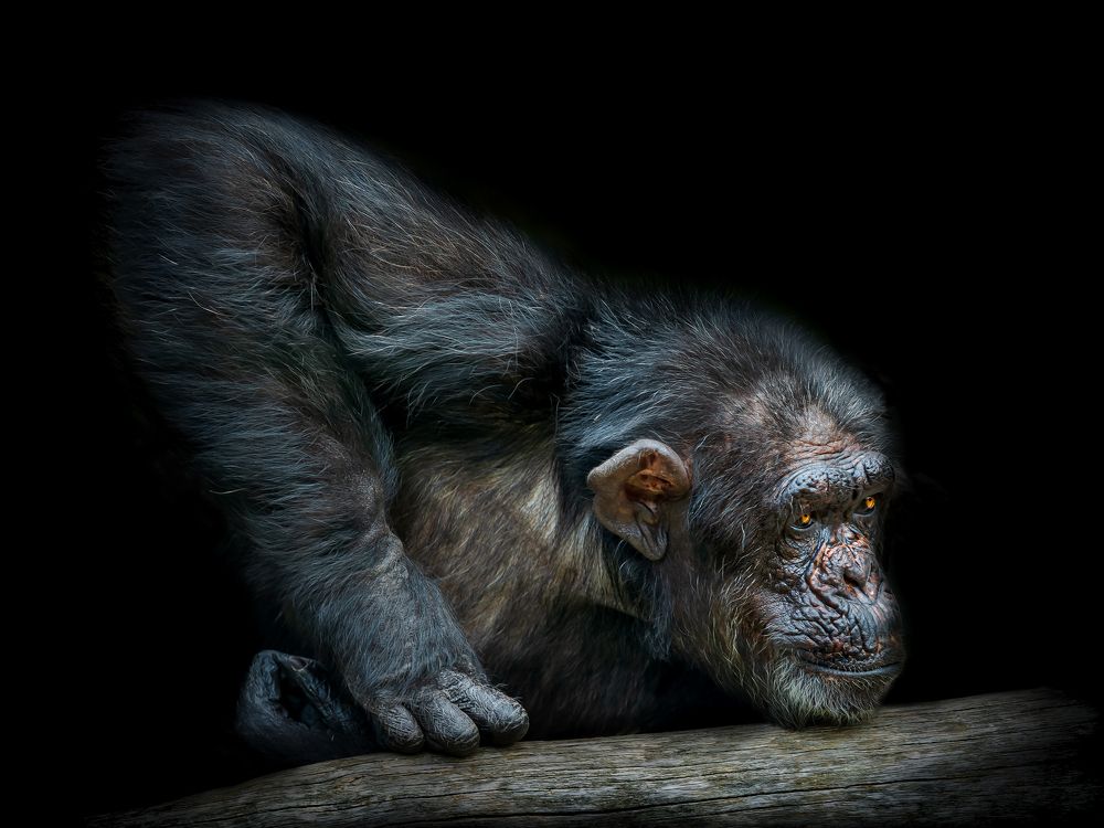 Photograph by Ilona Rosenkrancová