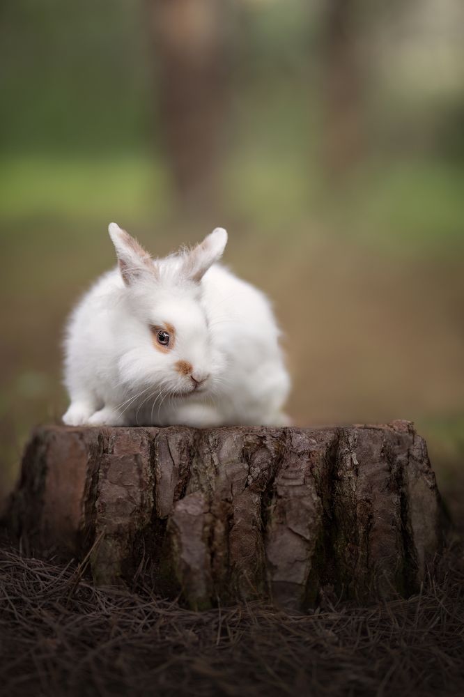 Photograph by Leticia Hernandez