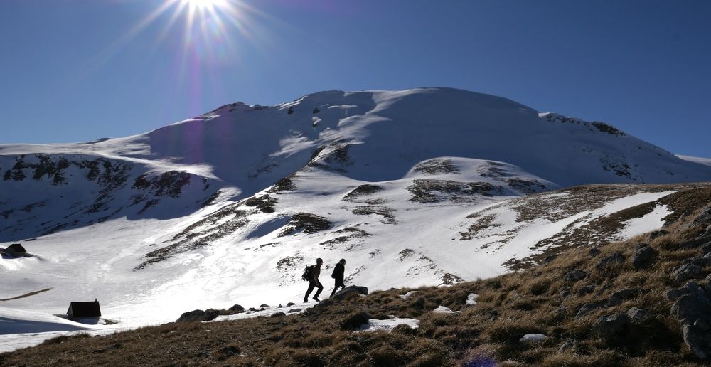 Photograph by Елена Агапкина