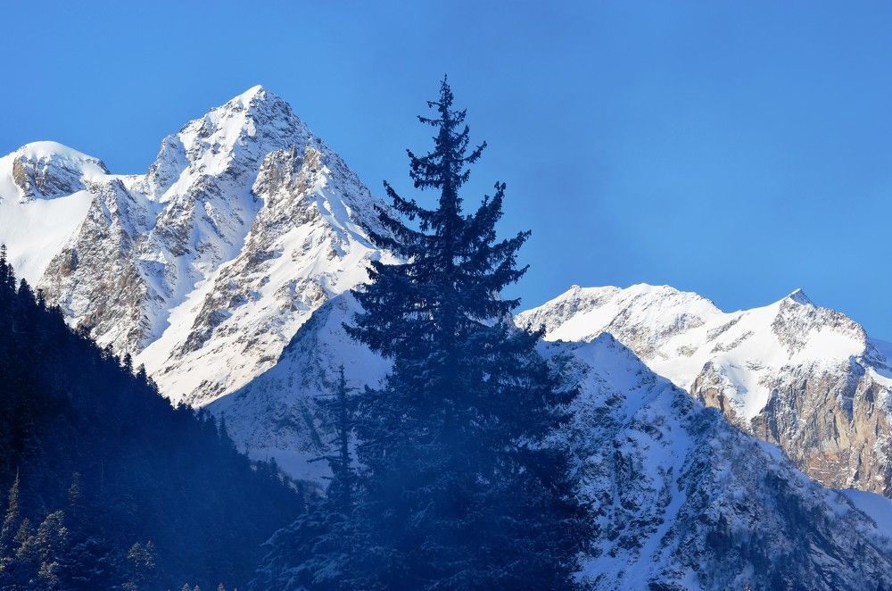 Photograph by Ольга Булавкина