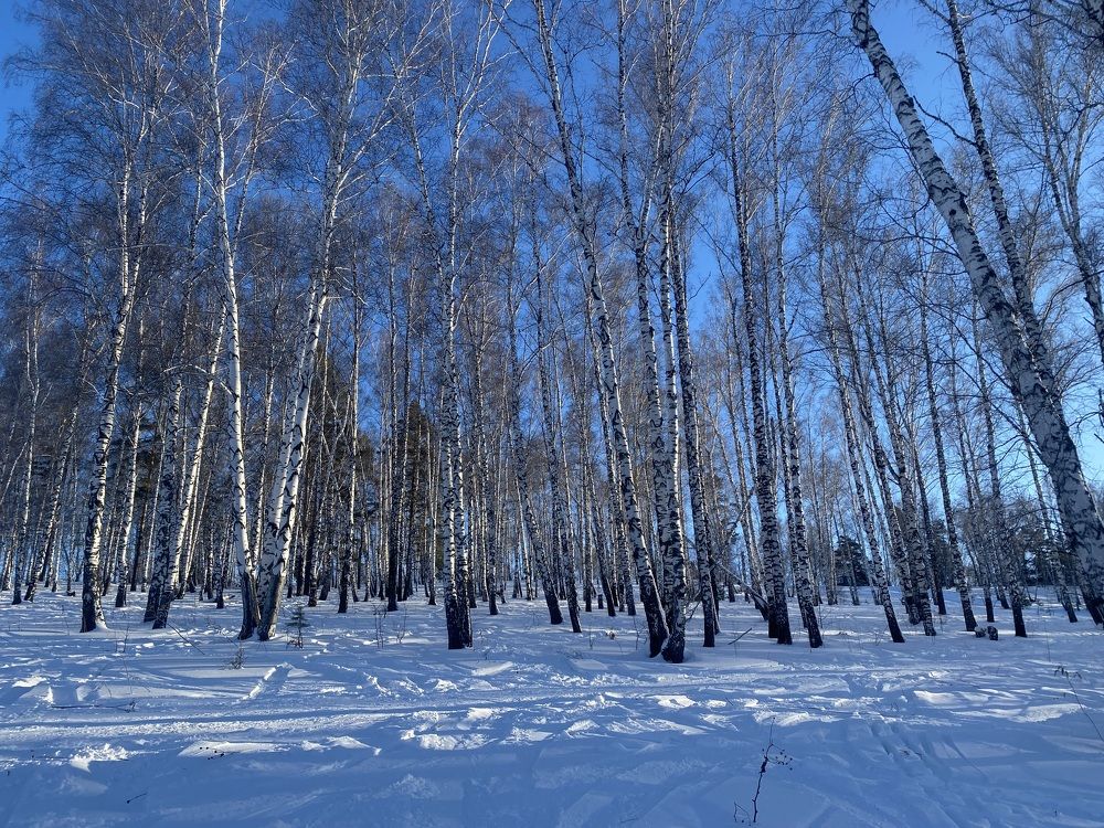 Photograph by Станислав Карнаухов