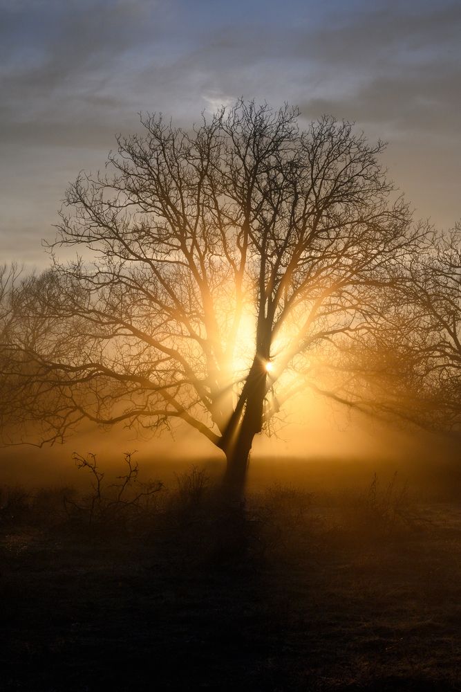 Photograph by Plamen Petkov