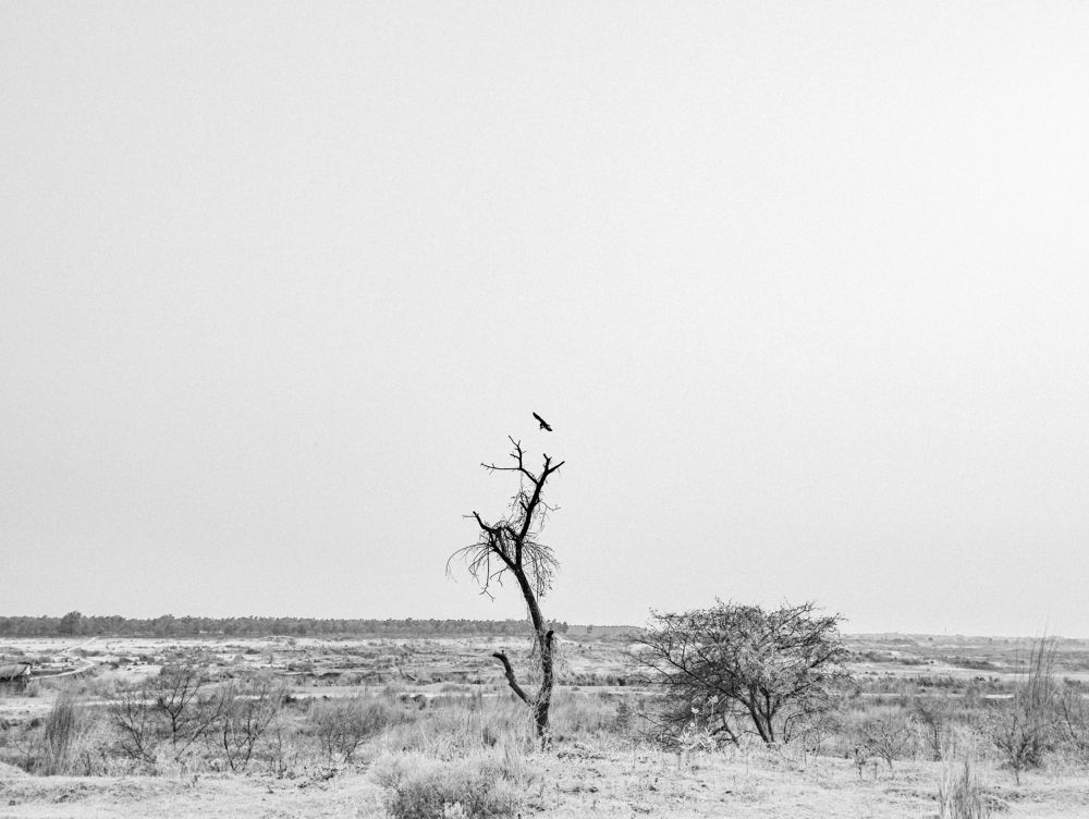 Photograph by Subhendu pan