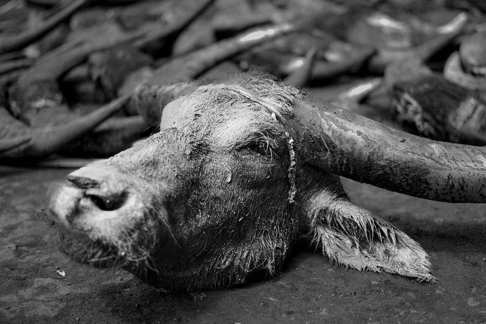 Photograph by Yoese Mariam