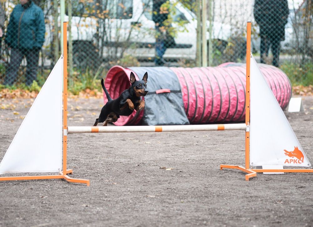 Photograph by Andrey Purtov