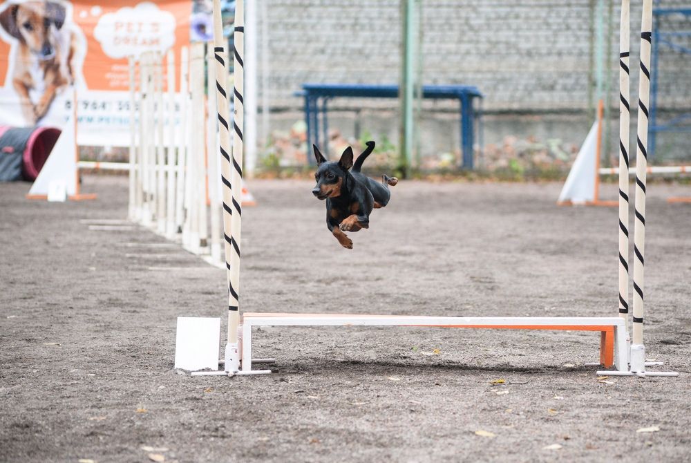 Photograph by Andrey Purtov