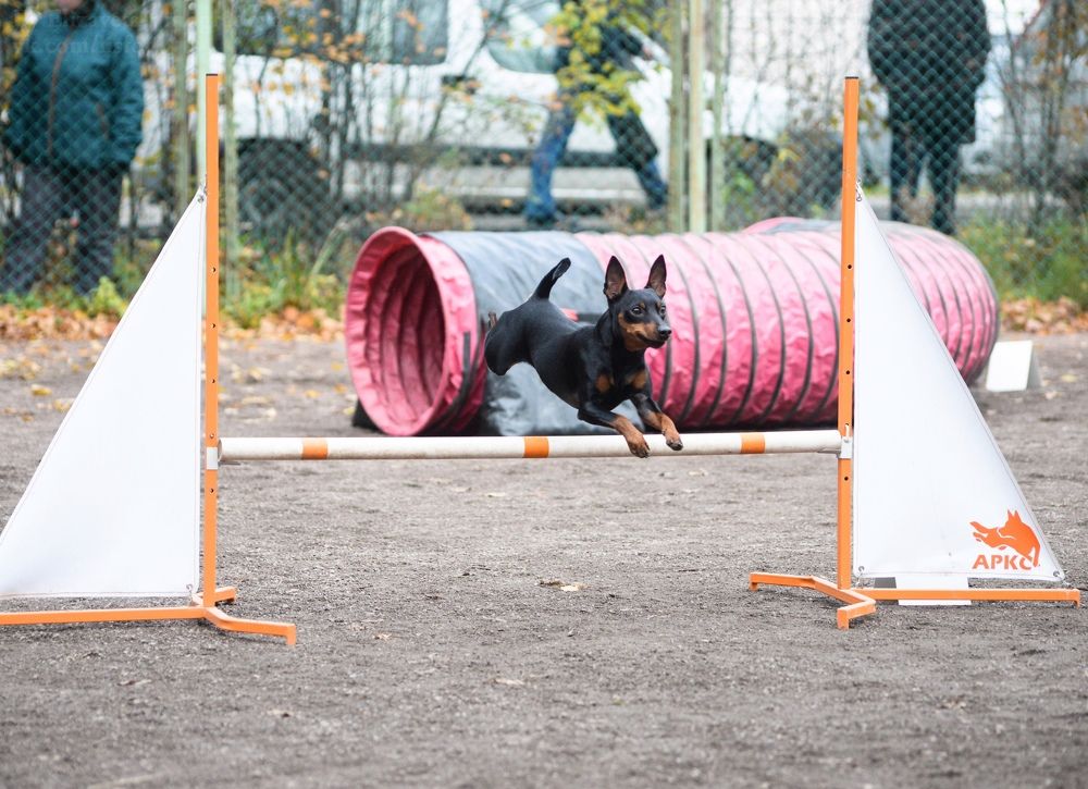 Photograph by Andrey Purtov