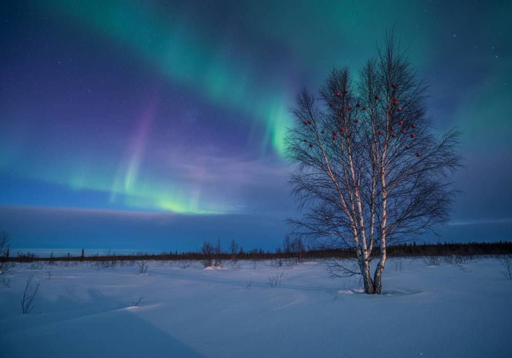 Photograph by Александр Мытько