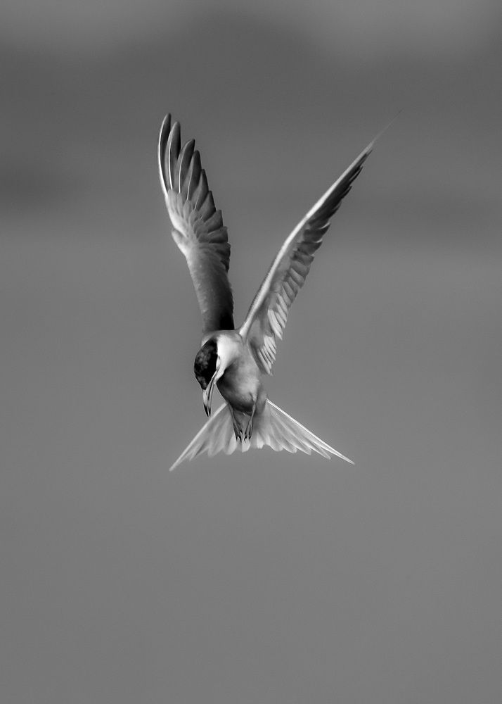 Photograph by MAYANK VERMA