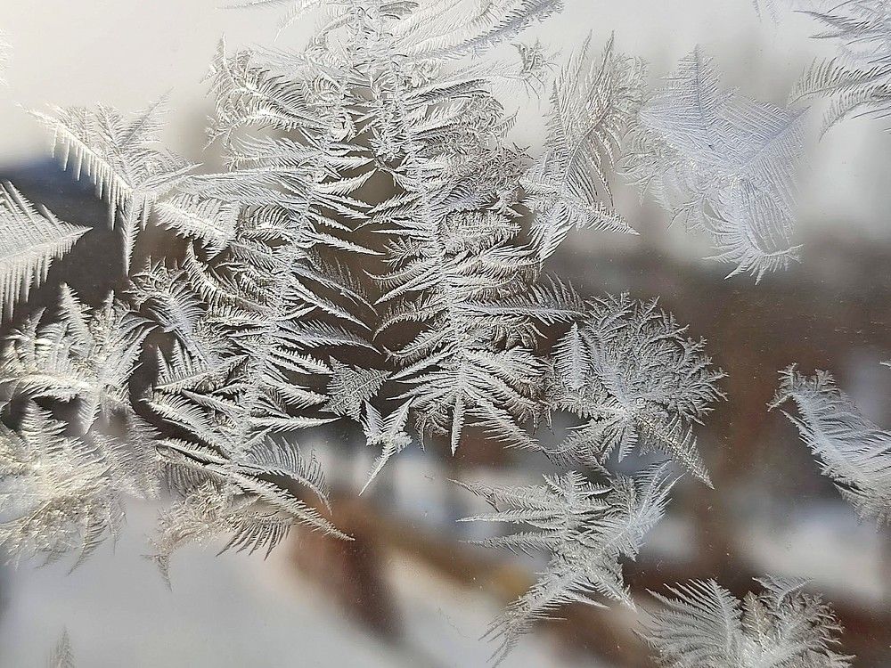 Photograph by Людмила