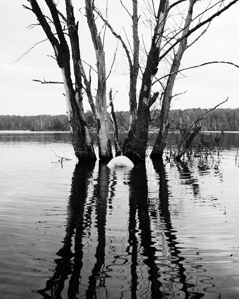 Photograph by Ксения Данилова