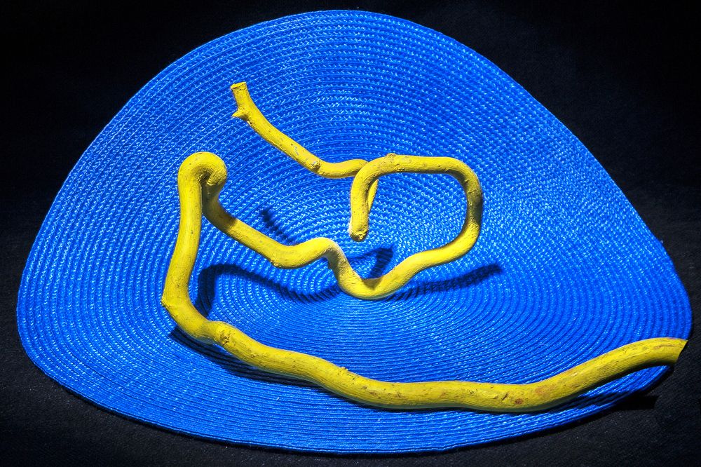 Photograph by Ольга Дядченко