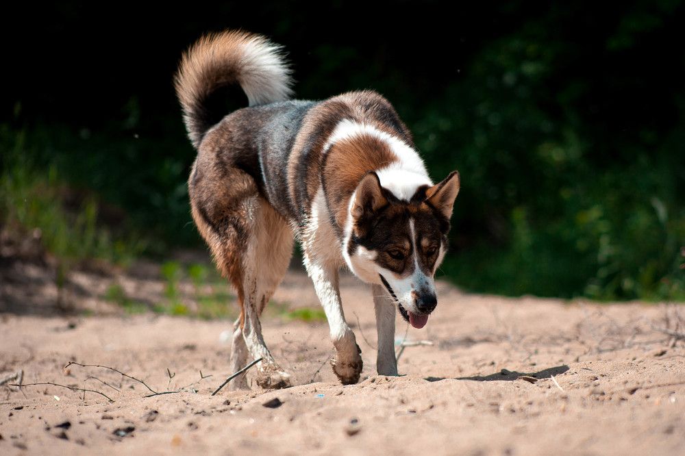 Photograph by Чан-Жу-Тин Маргарита