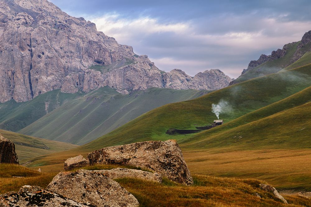 Жизнь домика