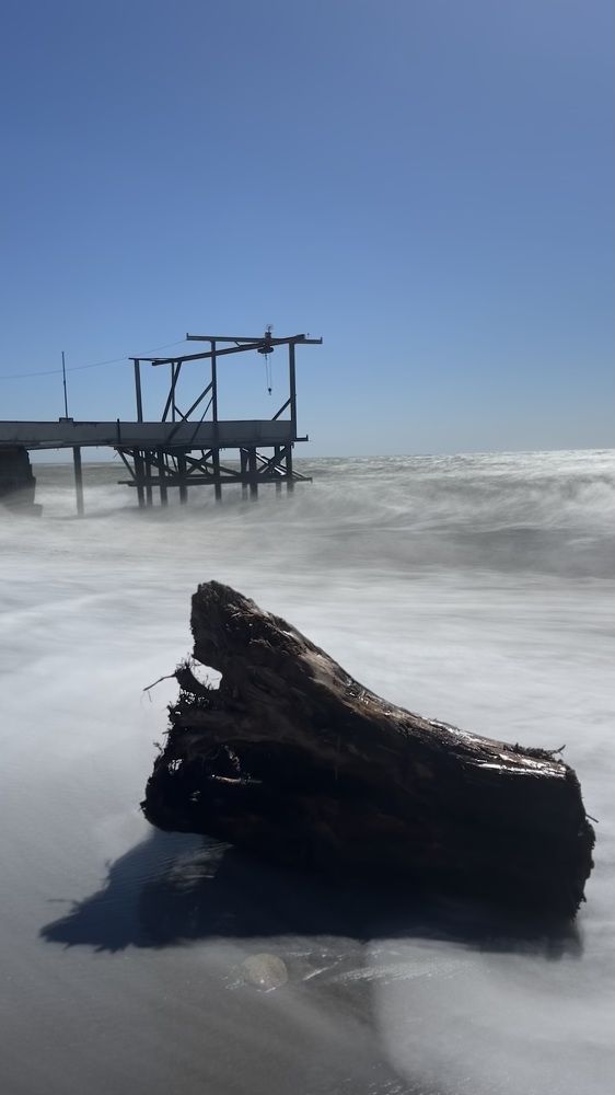 Фотография автора Юлия Недосекина