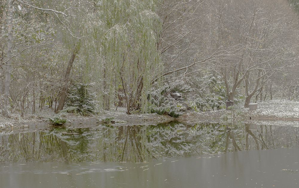 Photograph by Ольга Дядченко