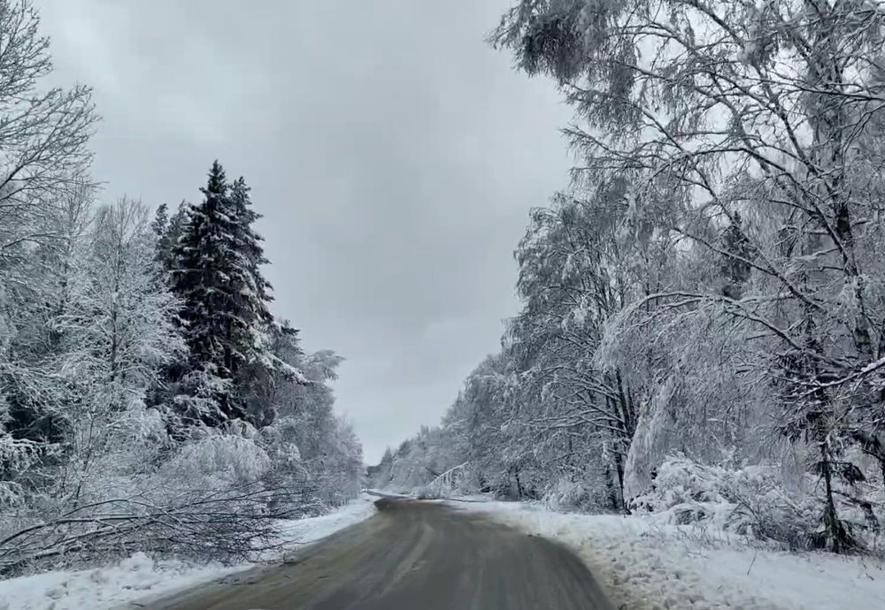 Photograph by Анастасия Моисеева