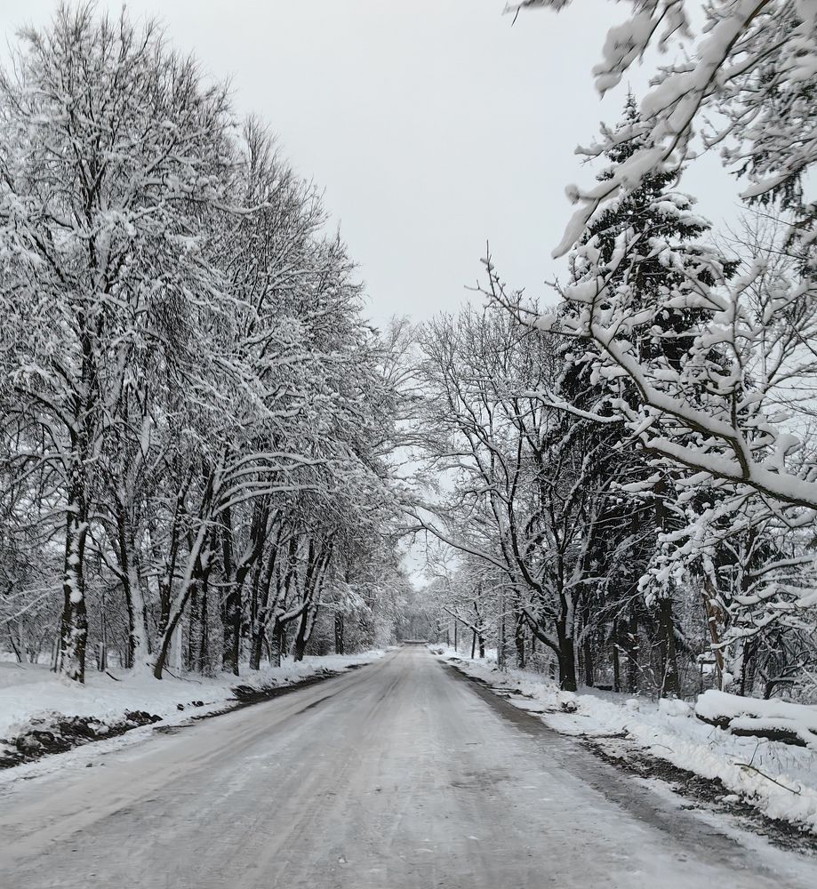 Photograph by Анастасия Моисеева