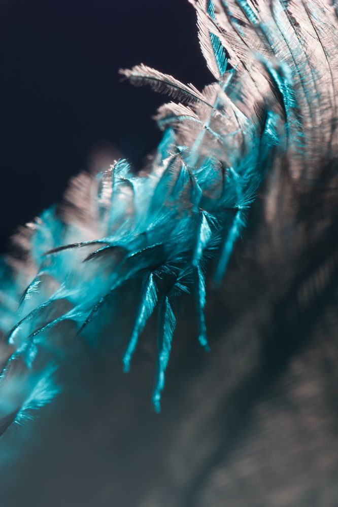 Фотография автора Екатерина Хисматулина