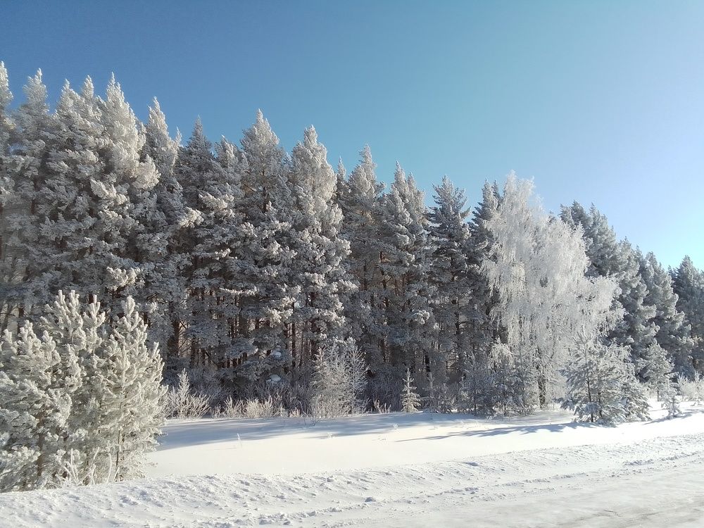 Photograph by Лилия Исхакова