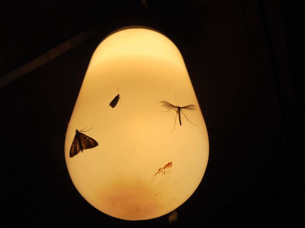 Photograph by Лилия Исхакова