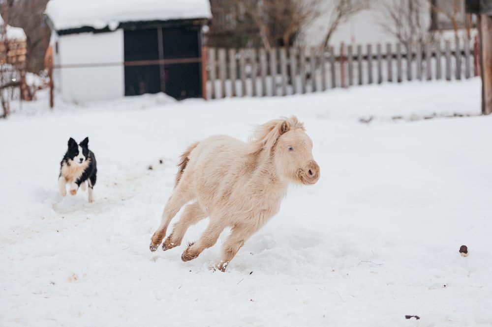 Photograph by Светлана Федяева