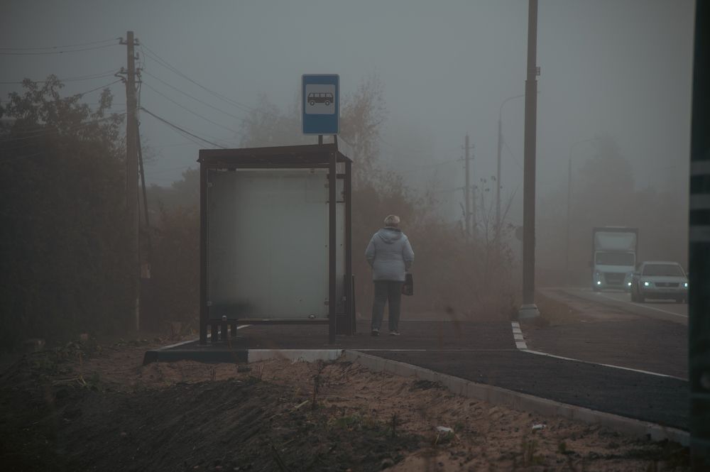 Фотография автора АНАСТАСИЯ ЛЕВИНА