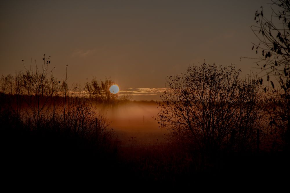 Фотография автора АНАСТАСИЯ ЛЕВИНА