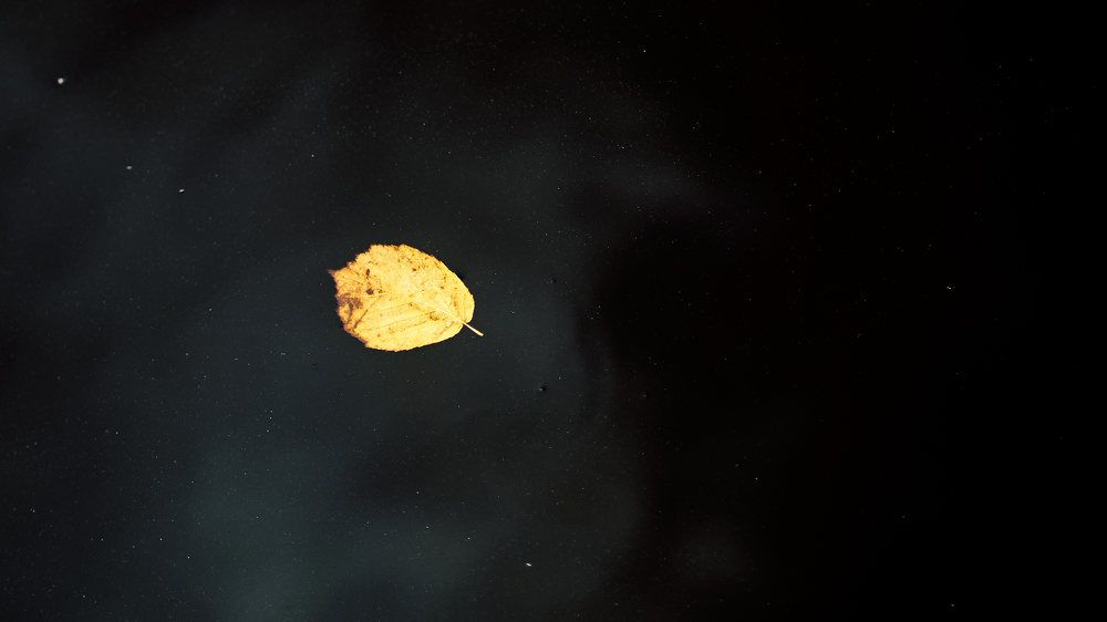 Photograph by Алексей Кочерыжкин