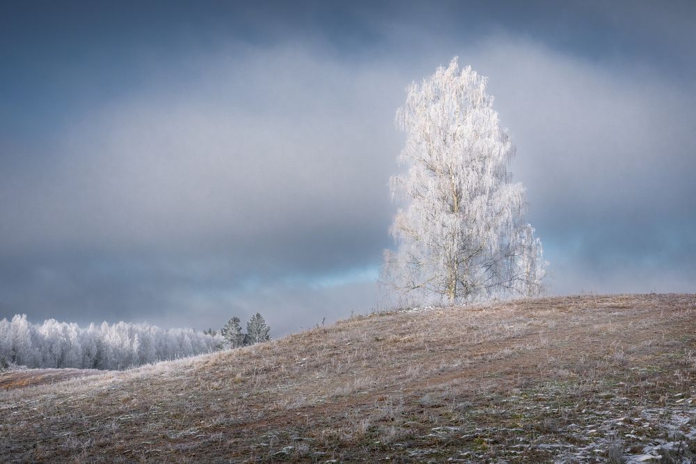 Фотография автора Erika