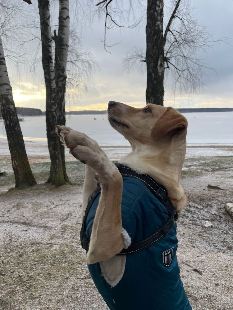 Фотография автора Юлия Недосекина