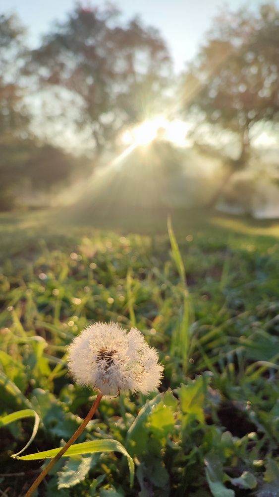 Photograph by Людмила Кузнецова