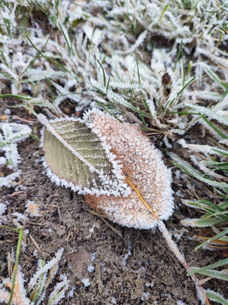 Photograph by Людмила Кузнецова