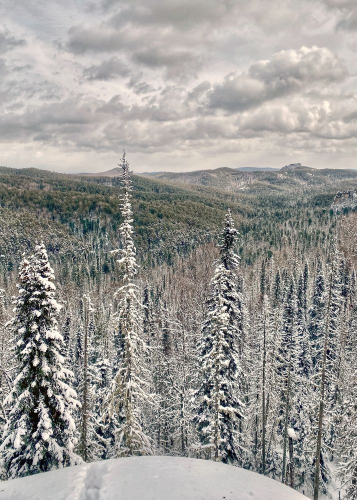 Photograph by Светлана Дмитриева