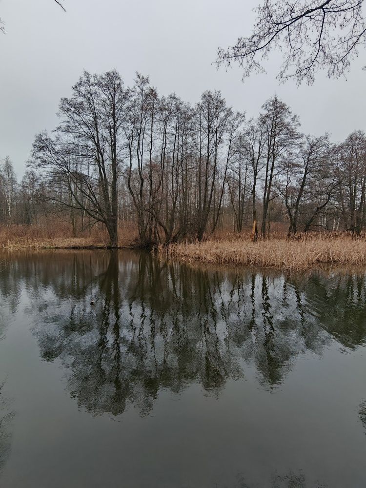 Photograph by Ирина Подлубная