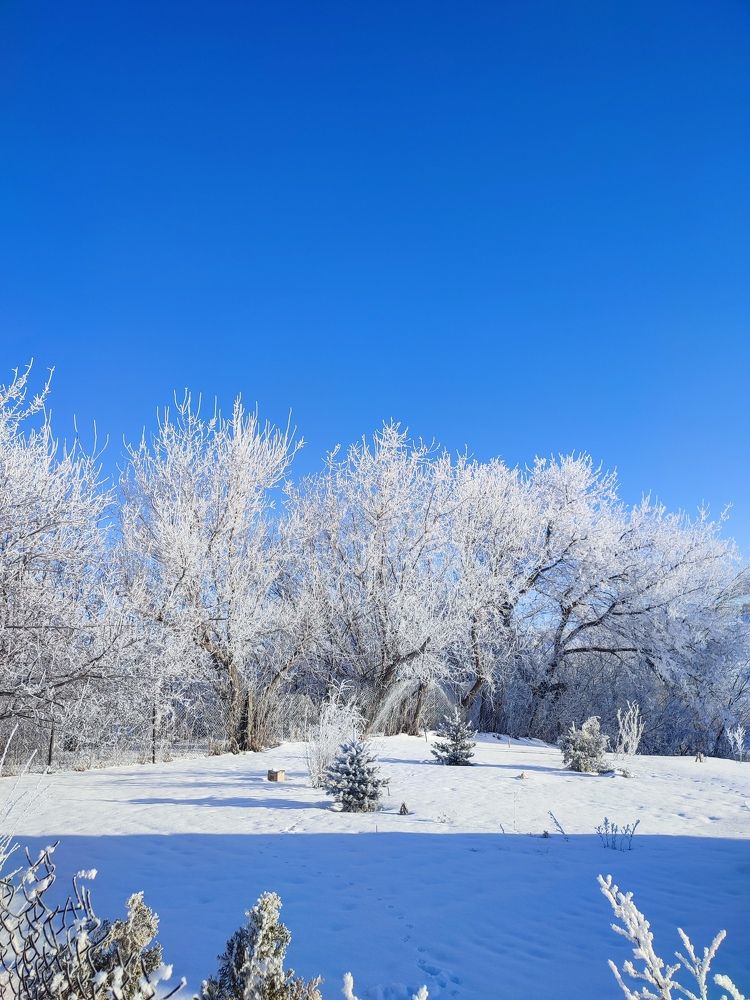 Photograph by Людмила Кузнецова