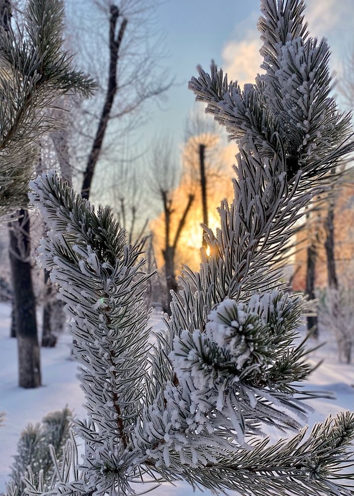 Photograph by Светлана Дмитриева