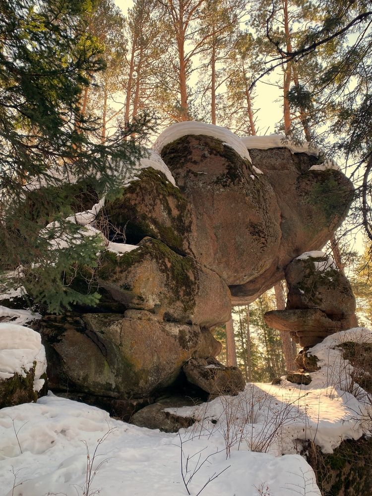 Photograph by Светлана Дмитриева