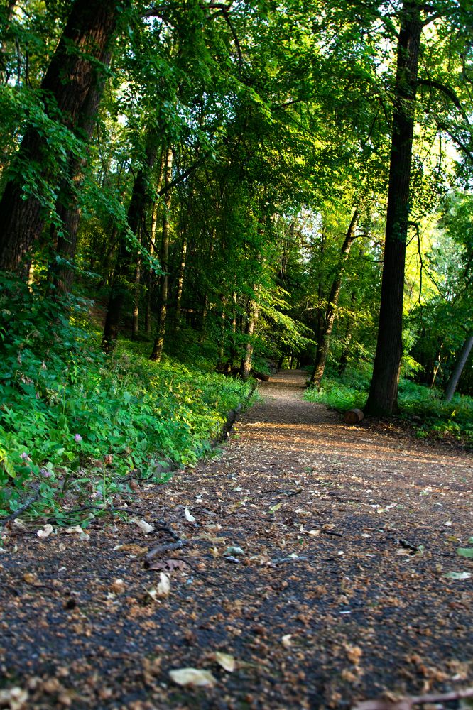 Photograph by Валерий Имамдинов