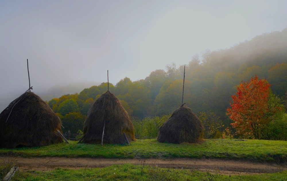 Photograph by Cristian Serban