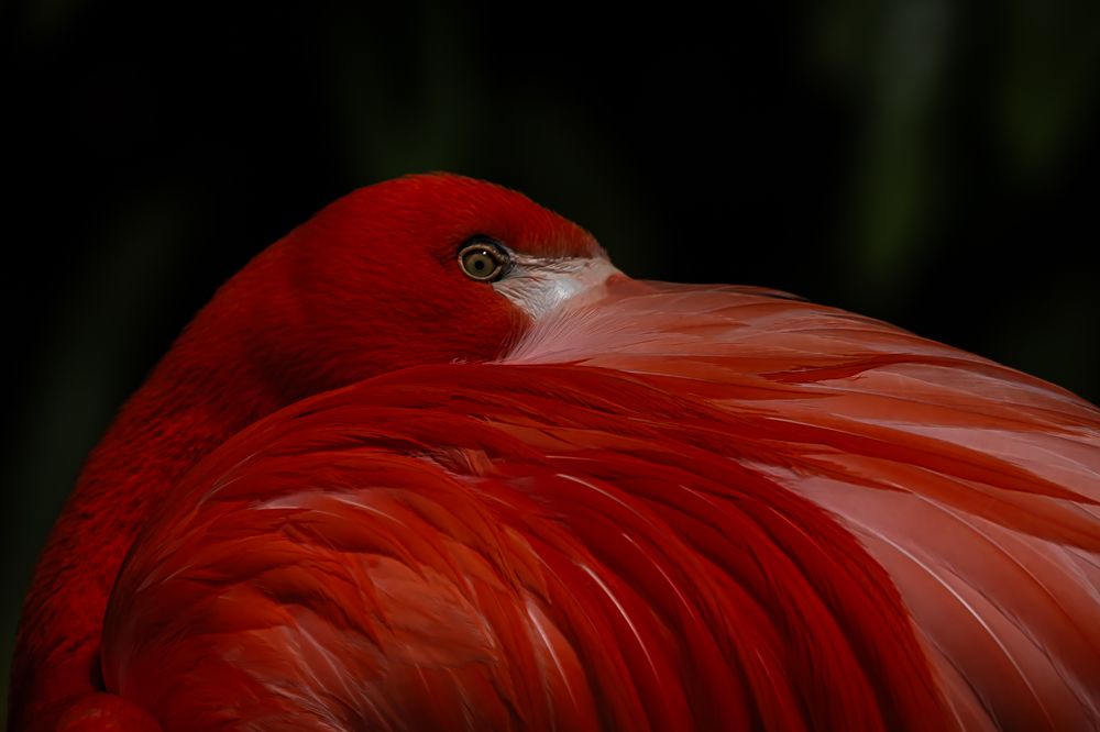 Фотография автора Michel PACHOT