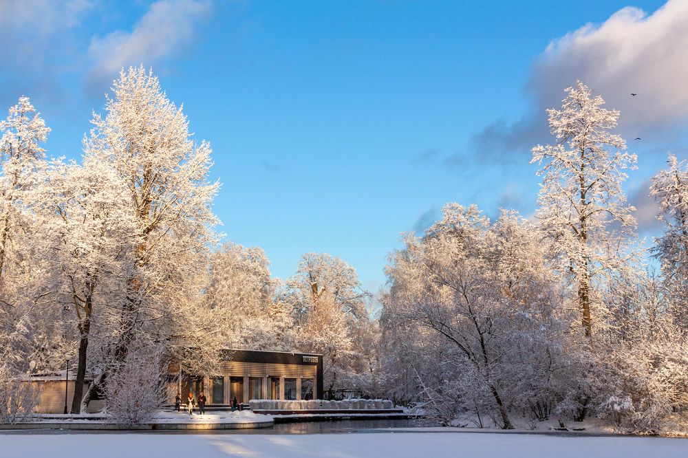 Photograph by Александр Гунин