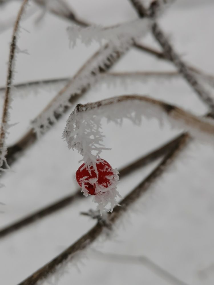 Photograph by Наталья Круглова