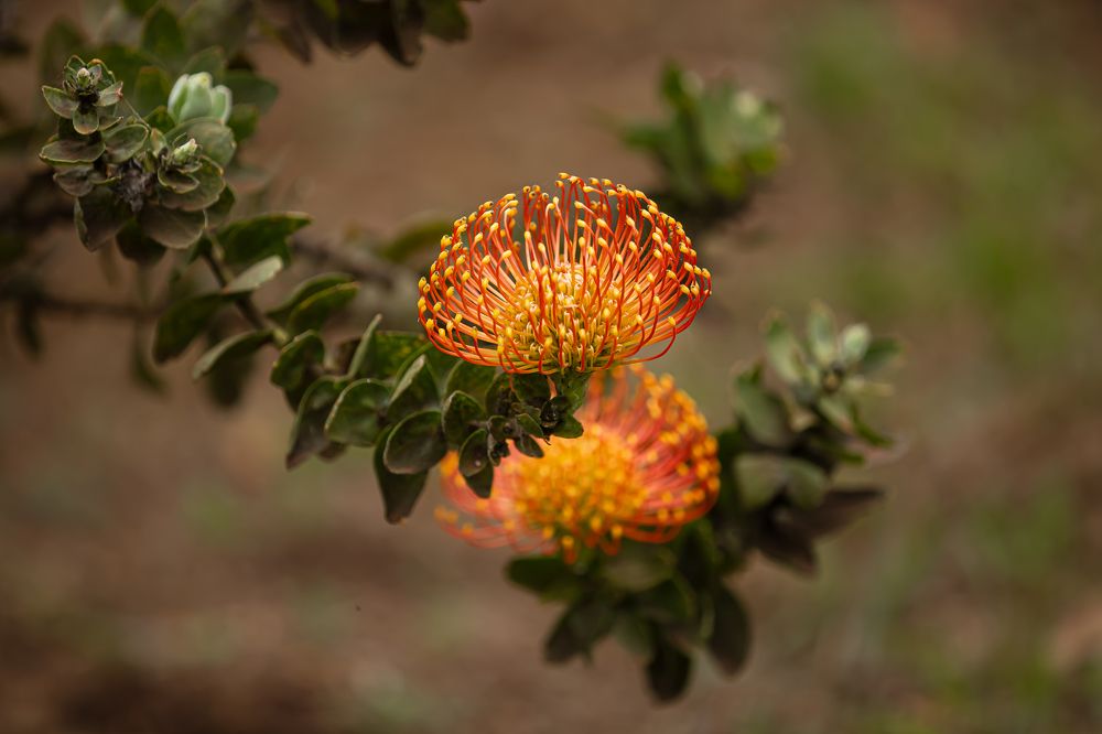 Фотография автора Michel PACHOT