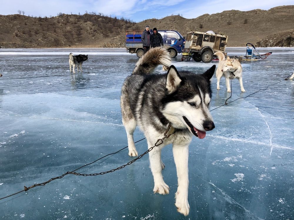 Photograph by Ольга Ильина